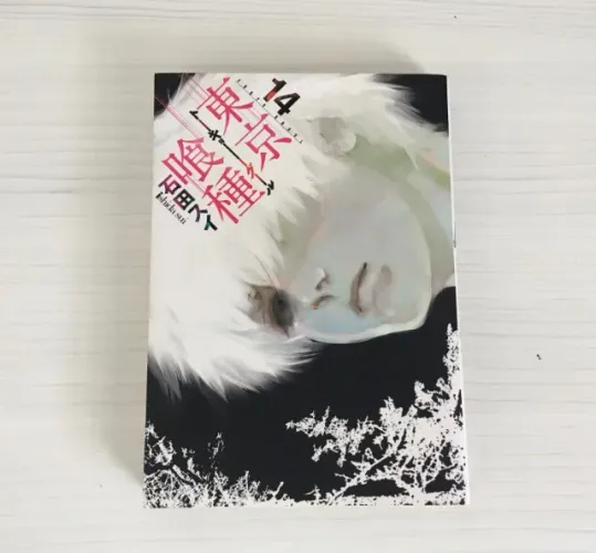 Mangá Tokyo Ghoul 14 (Japonês)