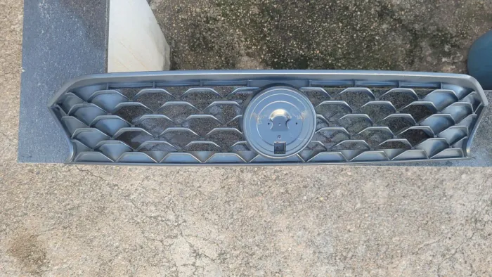 Grade radiador argo