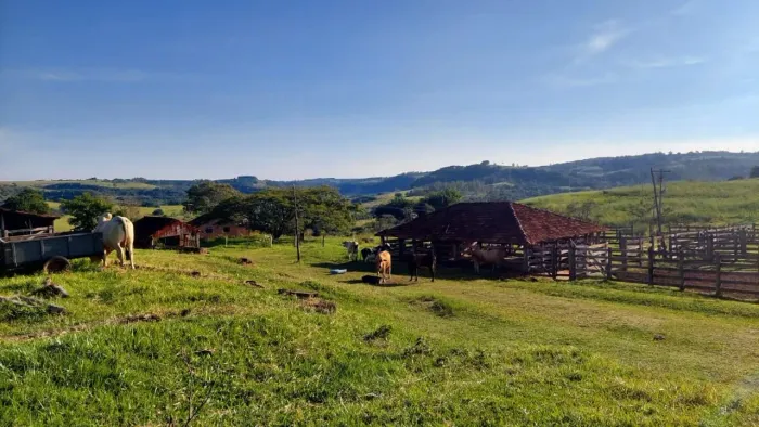 *EXCELENTE FAZENDA A VENDA NA REGIÃO DE MARÍLIA-SP* ?? Fazenda Montada e Estruturada na Pe