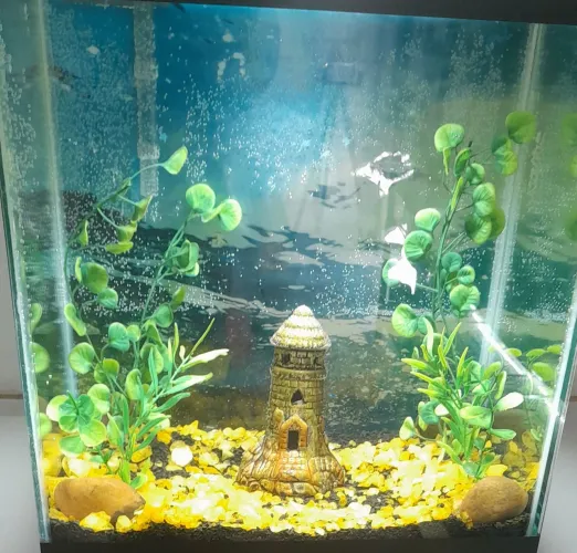 Aquário Completo 32 Litros