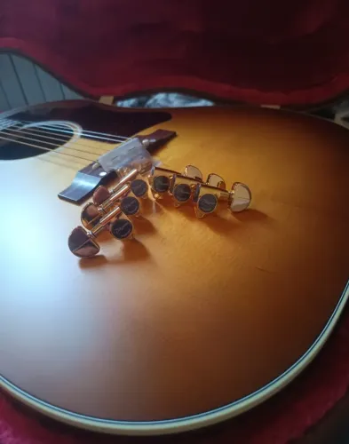 Tarraxas Gold takamine japonês