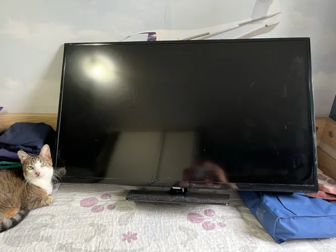 TV Samsung 40 pol para retirada de peças