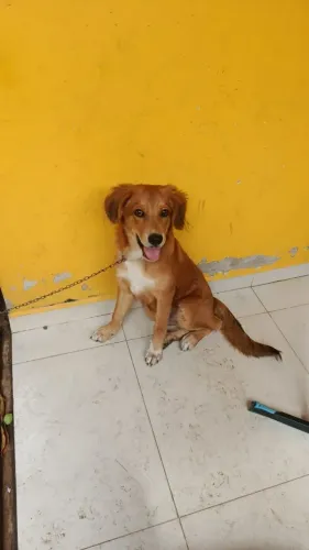 Doação ?
