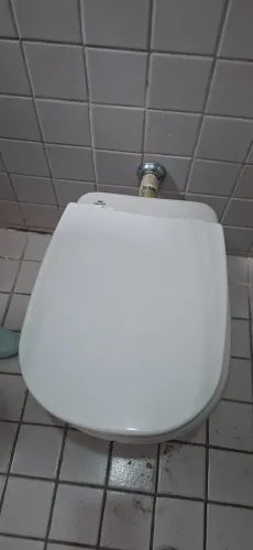 Vaso sanitário com tampa