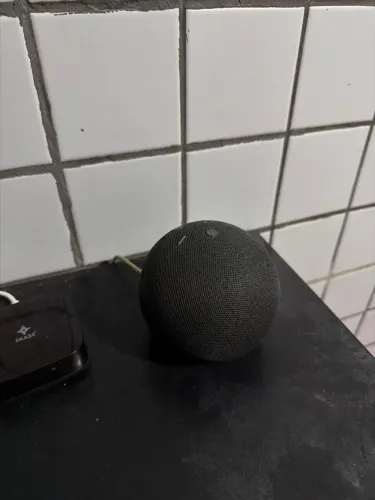 Echo dot Alexa 