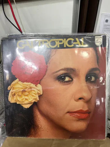 Gal Tropical vinil