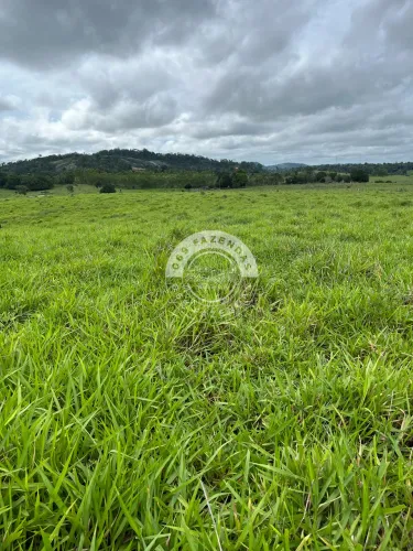 Sítio/Fazenda de 40 alqueires em Ariquemes