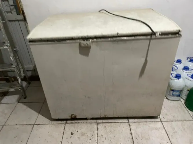 Freezer vertical