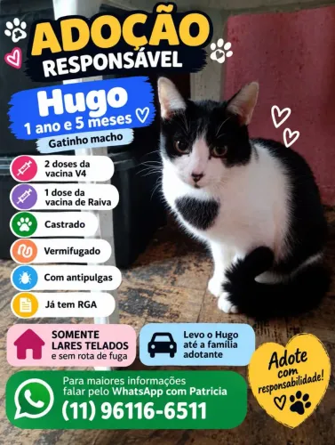 Hugo frajolinha precisa Lar