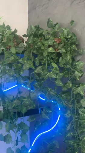 Plantas com pote artificial