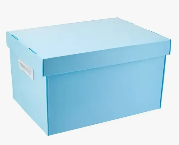 Caixa Organizadora Plástica com Tampa Azul