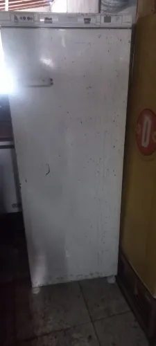 Freezer vertical