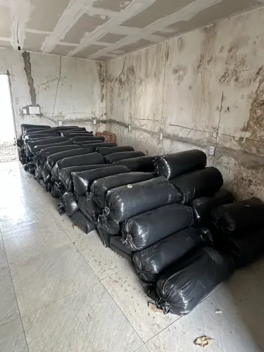 Silagem de milho à venda 
