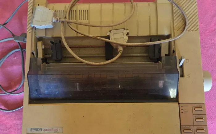 Impressora Matricial Epson ActionPrinter 2000 Completa