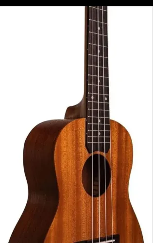 UKULELE MALIBU CONCERT 23 NOVO