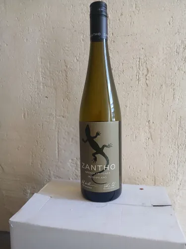 Vinho 