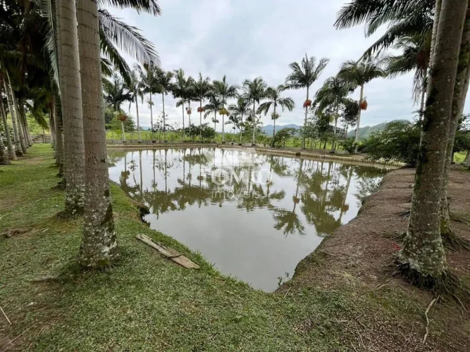 Sítio com 3 quartos à Venda, Boa Vista - Ilhota