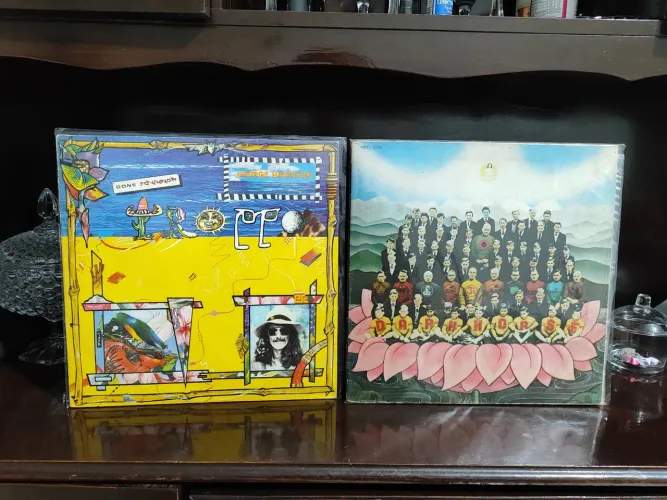 2 Lps George Harrison - Gone Troppo 1982 e Dark Horse 1974 edições Nacionais 