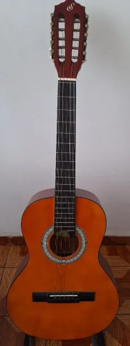 VIOLA GIANNINI