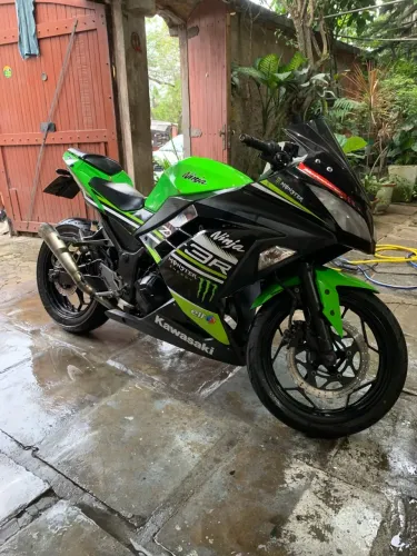Kawasaki Ninja 300 2014