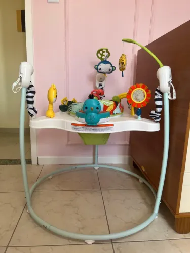 Cadeirinha Pula-Pula - Diversão na Floresta dos Animais - Fisher-Price
