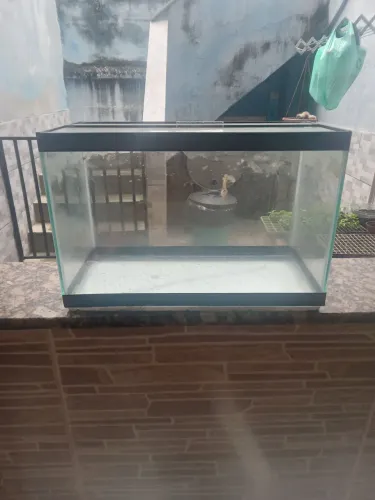 Aquario
