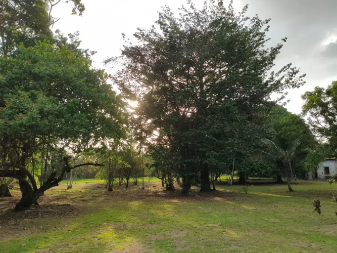OPORTUNIDADE EXCLUSIVA    Terreno de quase 25.000 m², murado e arborizado, com 3 residênci