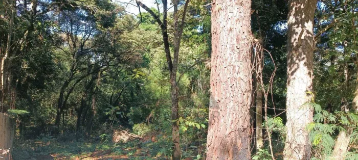 Terreno à venda - Vila Recreio - Itapetininga/SP