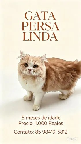 Gata perça