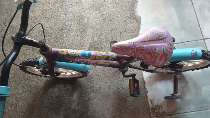 Bicicleta 
