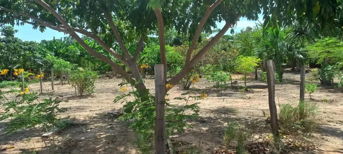 Vende-se terreno