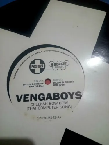 LP VEGABOYS..DA GRAVADORA POSITIVO..POR 60.00 REAIS ÚNICA PEÇA