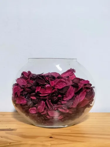Vaso floreira tipo aquário oval com pétalas desidratadas decoração antigo antiquario lindo