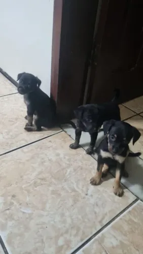 Doação Responsável! 