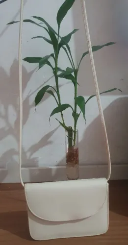 Bolsa baladinha 2