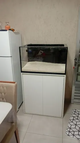 Aquário marinho