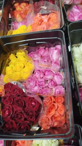 Flores , buquês e  arranjos