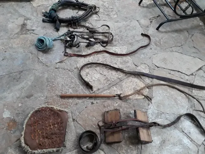 Arreio para Carroça