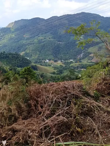 Vendo 3.000m²meia legua 49.999