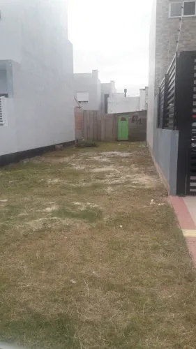 Terreno 5x25 no amarílis