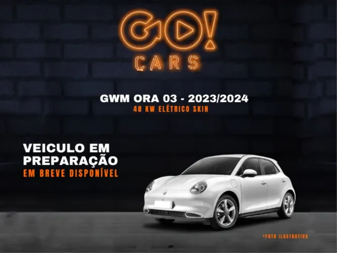 GWM Ora 03 Skin (elétrico) 2024
