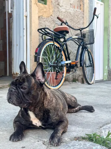 Bike Retrô Preta -  Bicicleta Aro 26 BRINDE CADEADO TRAVA U