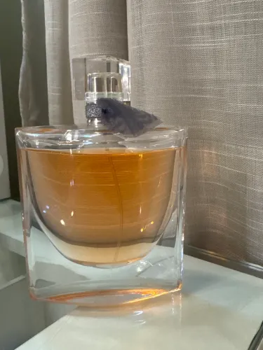 Perfume la vie est belle 