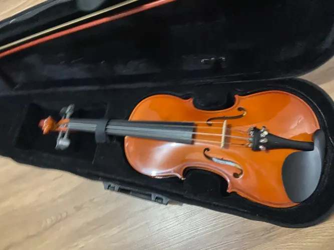 Violino