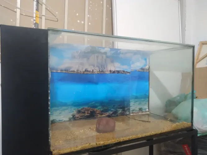 Aquario 