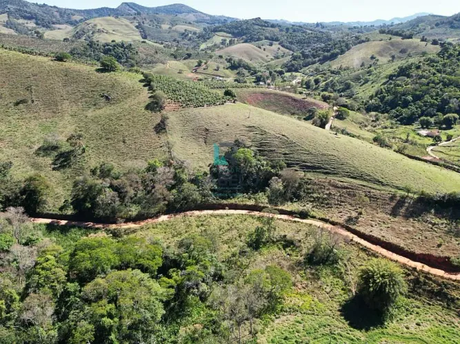 SÍTIO Á VENDA COM PLANTAÇÃO DE CAFÉ E BANANA EM PEDRALVA-MG