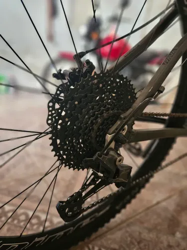 Bicicleta rava