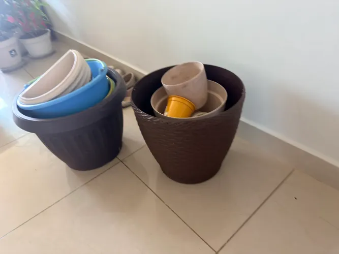 Diversos vasos de plantas