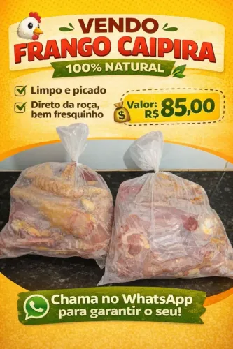 Franco caipira abatidos 