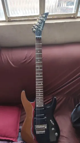 Guitarra Dalphin